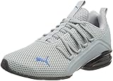 PUMA Herren Axelion LS Laufschuhe, Grau (Quarry/Lake Blue), 43 EU