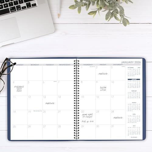 Image of AT-A-GLANCE 2026 Planner, Monthly, 15-Month, 9 inch x 11 inch, Large, Blue (702502026)