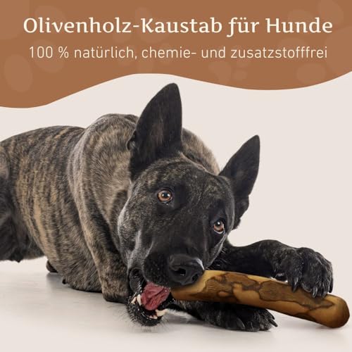 Wildfang® Olivenholz für Hunde, Größe L – robuste Kau-Sticks für Starke Kauer, Welpen-Kauspielzeuge zur Zahnung, Training der Kaumuskulatur, Olivenholz-Kaustab für Hunde (über 25kg)