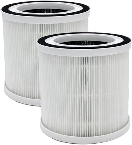 Filtre Breeva A1 A1W H13 haute efficacité en lot de 2