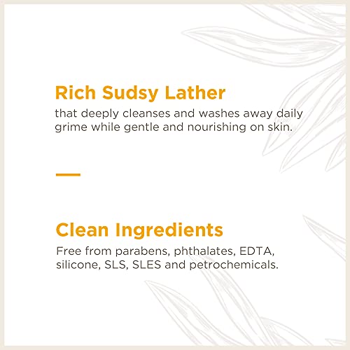 Soapbox Foaming Hand Soap – Orange Zest & Fennel – 11Oz Pump Bottles – 3 Ct Gently Scented, Moisturizing Foaming Hand Wash For Kitchen And Bathroom, Vegan, Cruelty & Paraben Free #TOP3