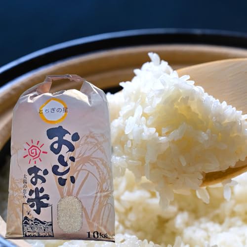 [令和7年産 先行受付]≪2025年9〜10月発送≫阿久津吉弘さんのとちぎの星白米10キロ