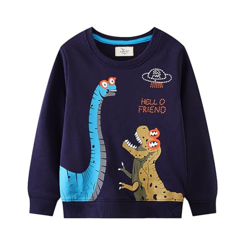 Boys Sweatshirts Casual Sweatshirts Cotton Sweatshirts Long Sleeve T-shirts Crew Neck Cartoon Tops for Boys-106