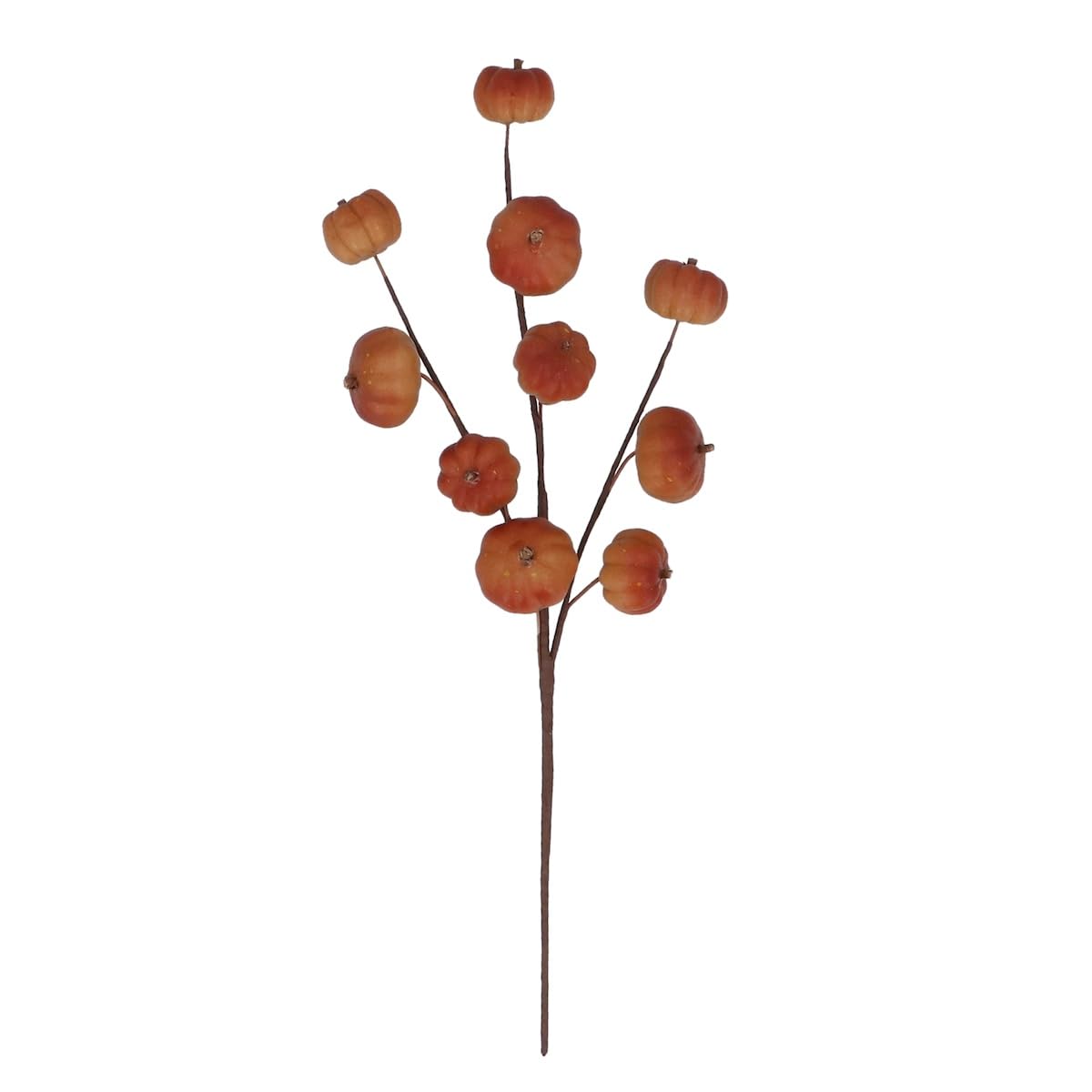 Gisela Graham Multicoloured Pumpkin Autumnal Branch Decoration