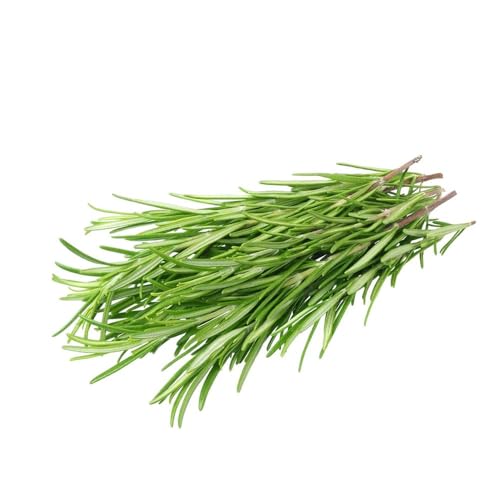 400 piezas semillas de romero organicas semillas resistentes para jardín, de hortalizas jardín