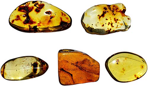 image for DINOSAURS ROCK Genuine Colombian Amber Fossil Specimen - Naturally For