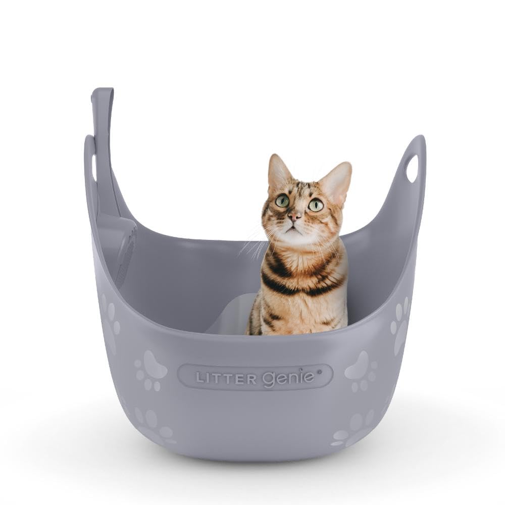 Litter Box Step Katzenrampe - 32x16x4cm Waschbarer Toiletteneinsatz
