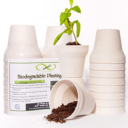 EverECO Vasos de plantas biodegradáveis Americas de 9 cm (pacote com 16): Kit de sementes ecologicam