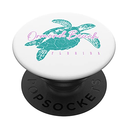 Ormond Beach Florida FL Sea Turtle Surfer Buceo Vintage...