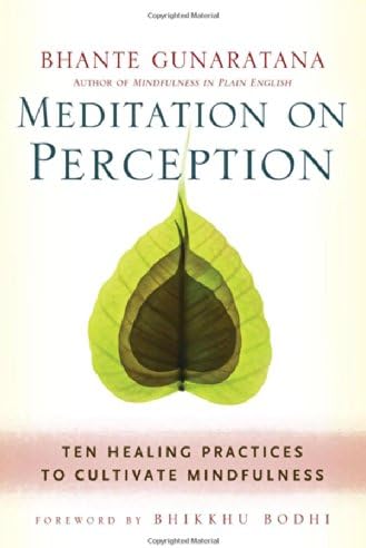 Meditation on Perception: Ten Healing Practices to Cultivate Mindfulness Paperback – June 10, 2014