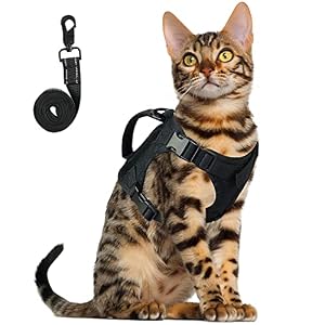 Tactical Cat Harness and Leash Set for Walking Adjustable Escape Proof Pet Vest for Large CatSmall DogEasy Control Breathable Cat Vest with Handle