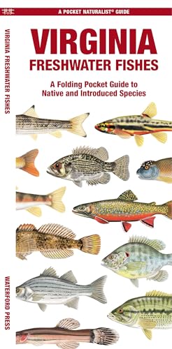 Virginia Freshwater Fishes: A Folding Pocket Guide to Native and Introduced Species (Nature Observation North America)