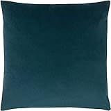 Un coussin simple sophistiqué dans des tons superbes