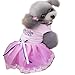 Produktbild HaiQianXin Niedlichen Hündchen Mesh Patchwork Prinzessin Kleid Bowknot Ribbon Rock Pet Bekleidung Kostüme Kleider (Color : Pink, Size : S)