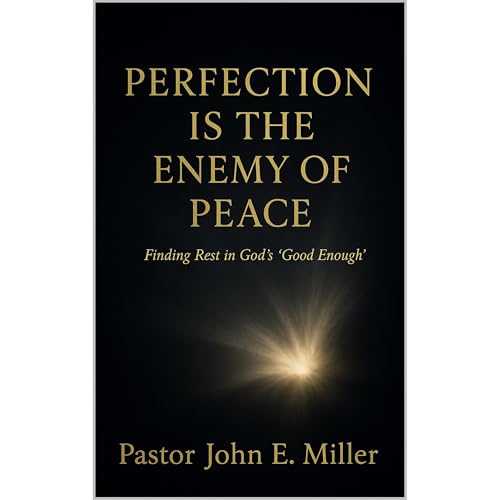 PERFECTION IS THE ENEMY OF PEACE Audiolibro Por John E. Miller arte de portada