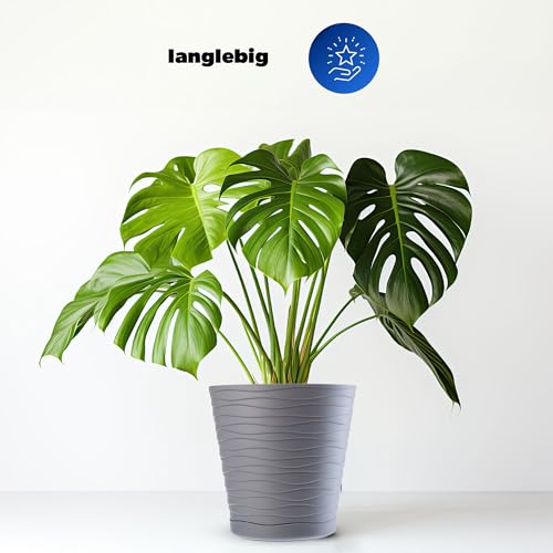 KADAX Blumentopf mit Untersetzer, Pflanzkübel für Innen, Leichter Blumenkübel, Pflanztopf aus Kunststoff, runder Übertopf für Blumen… – Ansicht 5