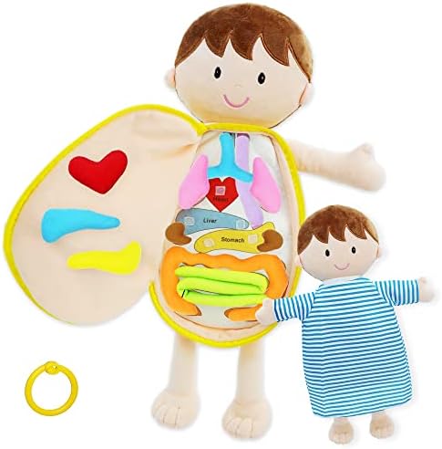 anatomy plush doll