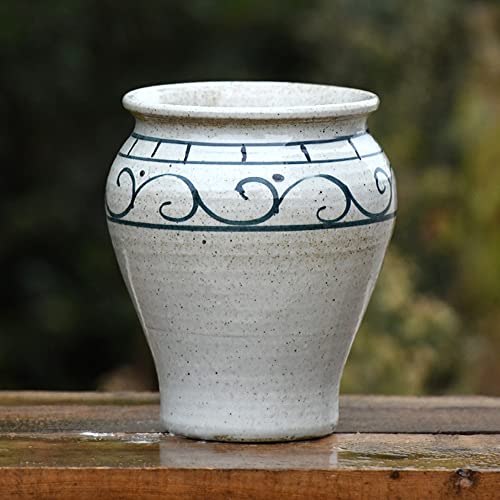 Pot de fleurs en céramique bleu et blanc pour sublimer l'ambiance de la maison