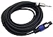 PYLE-PRO PPSJ30 - 30ft. 12 Gauge Professional Speaker Cable Speakon to 1/4''