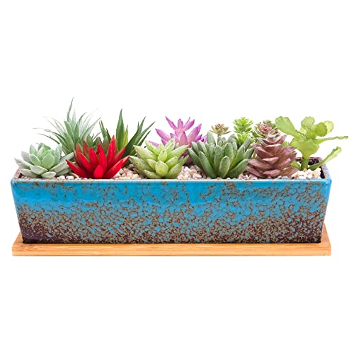 Macetas suculentas rectangulares de 12 Pulgadas de Largo con bandejas de Drenaje, macetas Grandes de cerámica con Cactus para Plantas de Interior/Exterior, Caja de Ventana de bonsái Poco Profunda