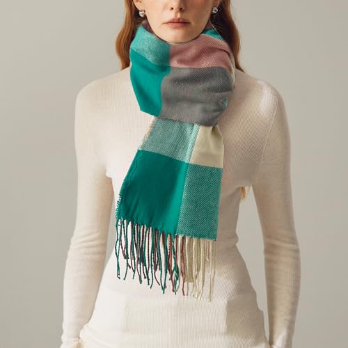 Women's Scarf Classic Tassel Plaid Super Soft Classic Cashmere Feel Fall Winter Scarves Tartan Warm Chunky Wrap Shawl2