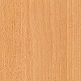 rotbuchenhecke wurzeln GRÖßE: Die Folien sind 200 cm lang & 45 cm breit.