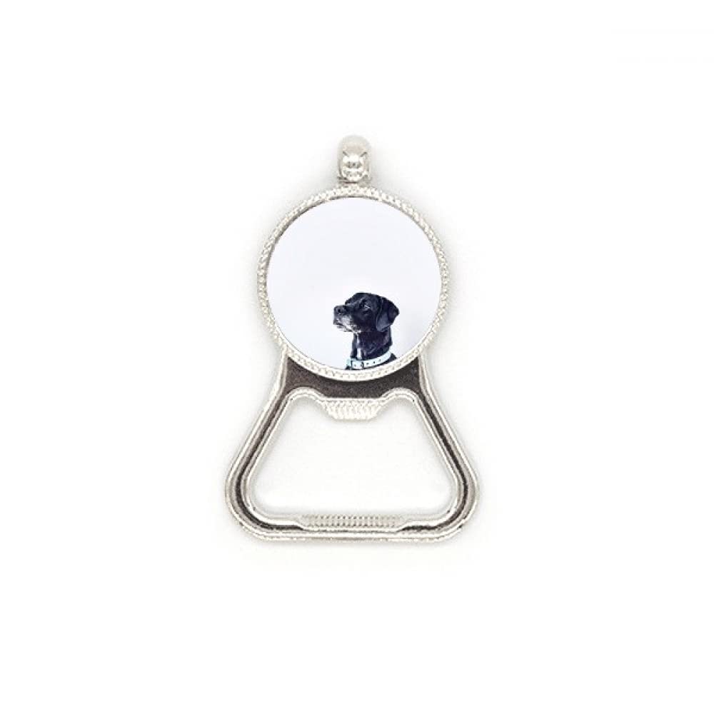 Décapsuleur bière en acier inoxydable cadeau parfait motif chien blanc