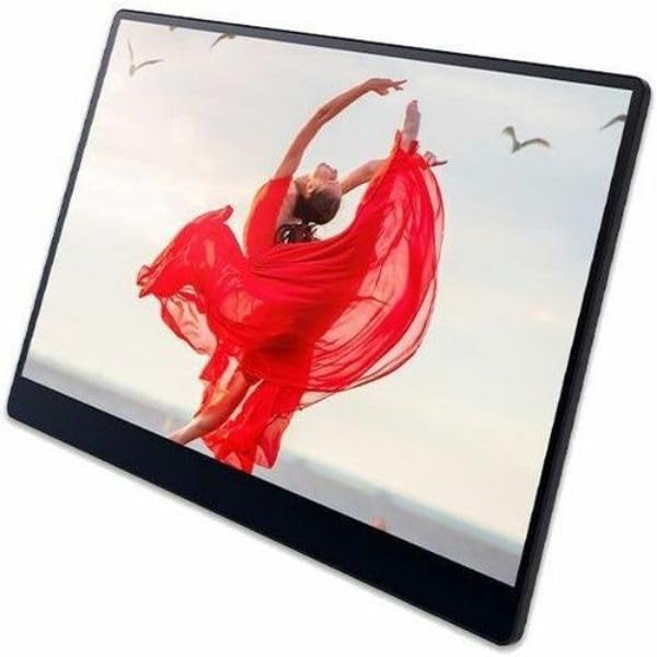 Image of 16 in. Portable Monitor