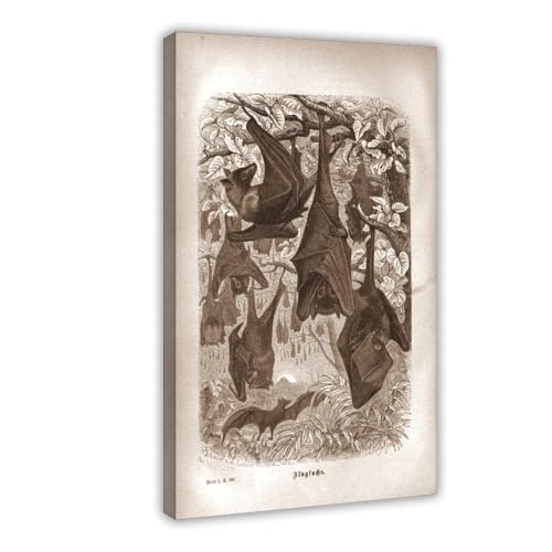 Toile vintage de chauve-souris WCYB 61x91 cm pour décoration de bureau