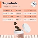 felmo Haut- & Fell-Snacks für Hunde – Für gesunde Haut & glänzendes Fell mit Lachsöl, Omega-3-Fettsäuren, Bierhefe & Biotin – getreidefrei & zuckerfrei, pflegt Krallen & Hautbarriere, 70 Snacks