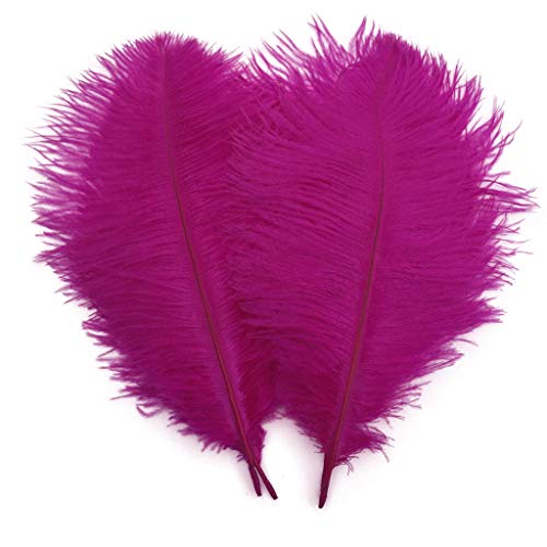 Shekyeon Fuchsia 10-12inch 25-30cm Ostrich Feather Home Decoration DIY Craft Pack of 10