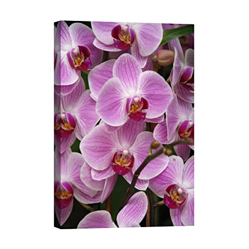 Toile canvas painting flowers DCF031-2 grand format lumineus