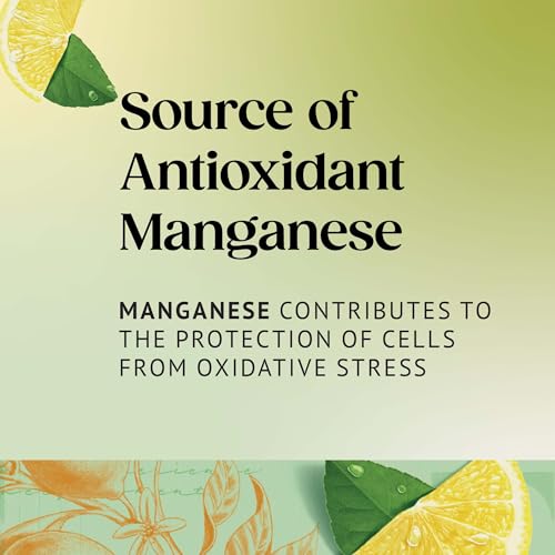 Twinings Green Tea with Lemon 320 Tea Bags (Multipack of 4 x 80 Bags) - 7