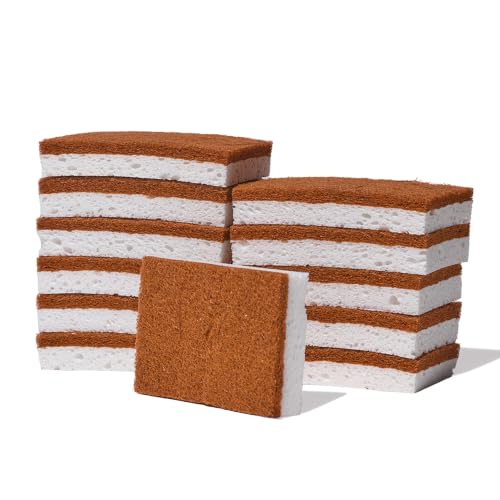 Public Goods Scrubber Sponge | Cleaning & Scrubbing Sponges for Dishes & Kitchen Sink | Natural, Plant-Based Sponges | Pack of 12