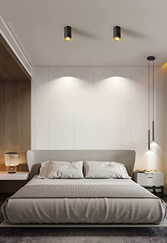 Image of blissbells Modern 12W LED Surface Ceiling Light | Black & Gold Cylinder Ceiling Lamp with Warm White Light | Decorative Downlight for Living Room, Bedroom & Office