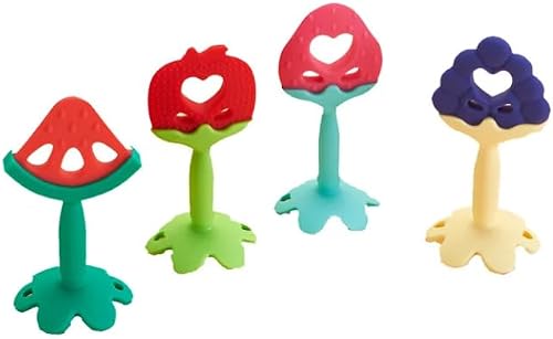 Fruit Shape Silicone Baby Teether, BPA Free, Colorful Single Fruit With Case