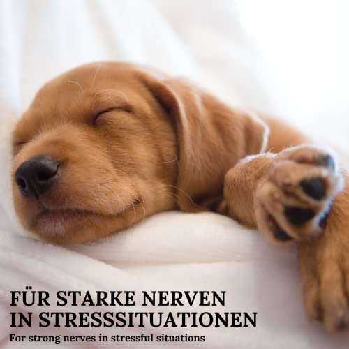 Stiefel Beruhigungskräuter für Hunde, 100% naturbelassene Kräutermischung, kann nervöse und gereizte Hunde unterstützen, mit Bierhefe, Hanf, Pfefferminz, Melisse, Johanniskraut & Baldrianwurzel, 100g