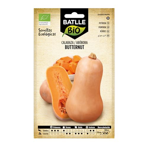 Bio Samen - Kürbis Butternut (8-20 Samen - Bio)