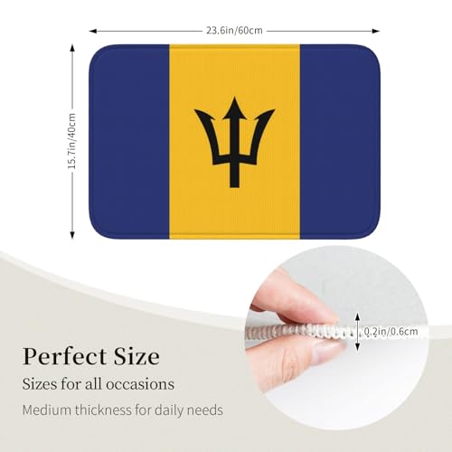 Tapis de sol antidérapant et résistant lavable 40 x 60 cm