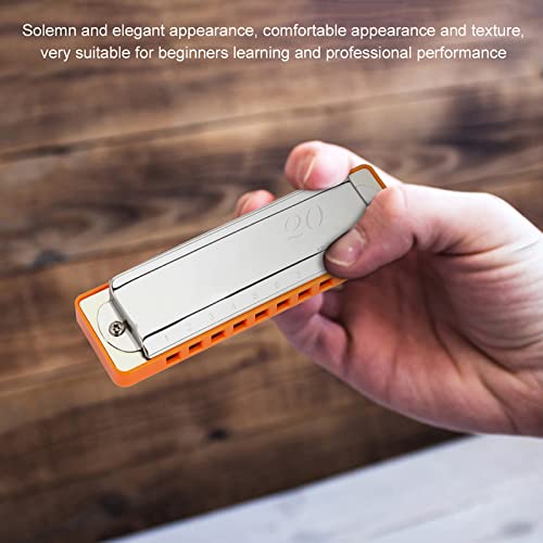 Dilwe Harmonica, C Key AM-20D Phosphore Bronze Reed 10 Trous 20 Tons Blues Harmonica Instrument à Vent pour Adultes… - Les Beatles, Paul McCartney, John Lennon, RIngo Starr, George Harrison Dilwe Harmonica, C Key AM-20D Phosphore Bronze Reed 10 Trous 20 Tons Blues Harmonica Instrument à Vent pour Adultes… – Image 3