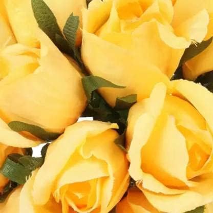 Image of Bigreen Yellow Rose a€ inch Live Flowering Plant with Pot for Home & Garden Natural Plant Yellow Colour Rose Flower Tree Plant Hybrid Grafted