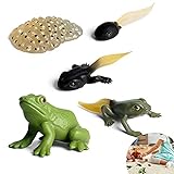 Insekten Lebenszyklus Gummi Frösche Tierfigur Ornament 5PCS Tier Wissenschaft Modell Tierfiguren Simulation Tier Für Kinder Frosch Figur Ornament Biologie Modell Für Kinder Geschenke Frühe Erziehung