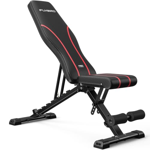flybird workout bench