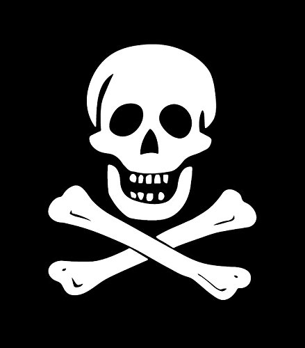 Amazon.co.jp: 海賊 骸骨 どくろ ドクロ スカル skull 海賊旗 ジョリー