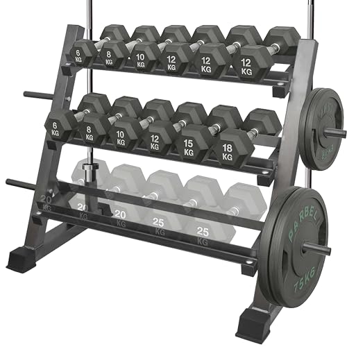 VIODEX 3 Tier Multifunctional Dumbbells Weights Barbells Rack, 1100 lbs Weight Capacity (Rack Only)