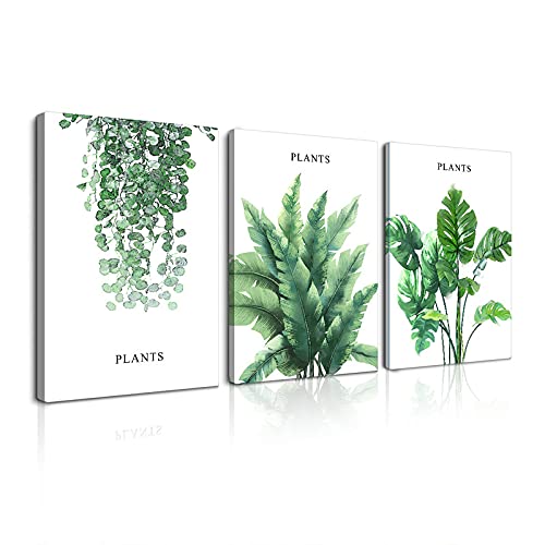 植物 アートパネル 緑色の葉 3枚セット飾り絵 ポスター 熱帯植物 壁掛けアート アートフレーム モダン アートボード 絵画 印刷された インテリア部屋飾り 壁掛け(B, 50cmX70cm)