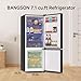 BANGSON 7.1 Cu.Ft Refrigerator with Freezer, Apartment Size Fridge with Bottom Freezer, for Apartment, Office, Kitchen and Garage, Stainless Steel, Silver