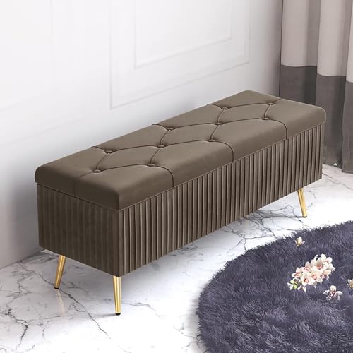 Banco de almacenamiento de zapatos, taburete tapizado de terciopelo para entrada y sala de estar, moderno baúl de almacenamiento de felpa con asiento acolchado