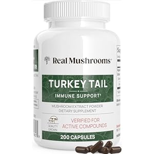 Real Mushrooms Turkey Tail Capsules – Organic Mushroom Extract for Daily Wellness, Gut Harmony, Energy Support – Vegan, Non-GMO, No Fillers – Turkey Tail Extract 200 Count Mushroom Supplement