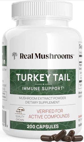 Real Mushrooms Turkey Tail Capsules – Organic Mushroom Extract for Wellness & Daily Rhythm – Vegan, Non-GMO, No Fillers Turkey Tail Extract – 90 Count Mushroom Supplement : Everything Else